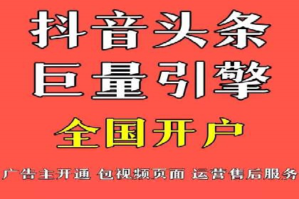 竞价广告与自然搜索的结合策略：XX网站的案例分析